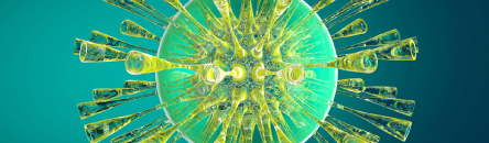 Autoimmune Treatment Protocols